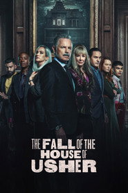 Limited Series poster