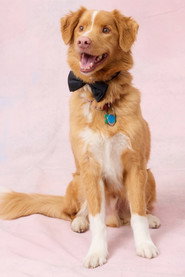 Photo of Indy as Indy