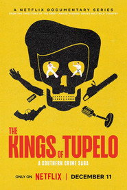 Miniseries poster