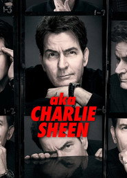 Miniseries poster