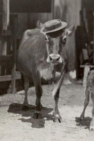 Photo of Brown Eyes as Herself