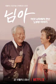 Limited Series poster