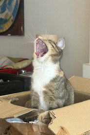 Photo of Miu as Gott
