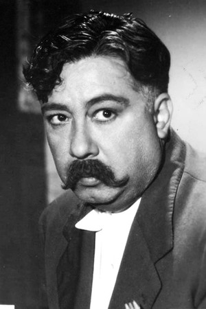 Joaquín Pardavé photo