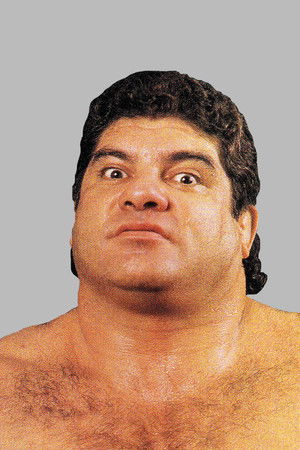 Don Muraco photo