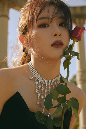 SEULGI photo