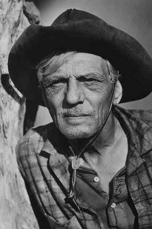 Photo of Francis McDonald from the Latest Netflix gallery