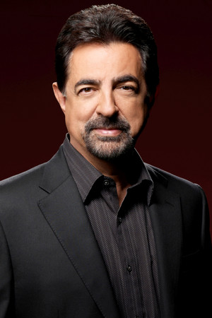 Joe Mantegna photo