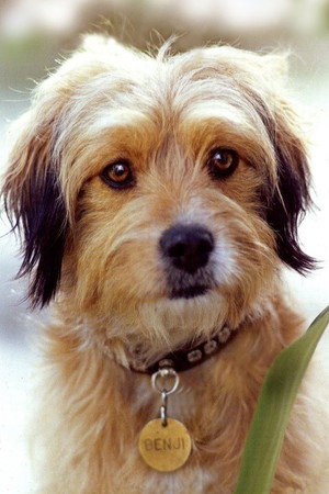 Photo of Benjean from the Latest Netflix gallery