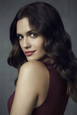 Torrey DeVitto photo