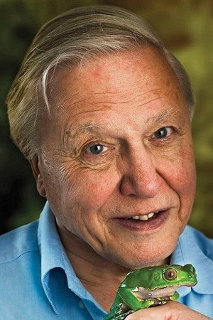 Photo of David Attenborough from the Latest Netflix gallery