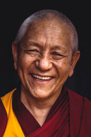 Photo of Pema Dorjee from the Latest Netflix gallery