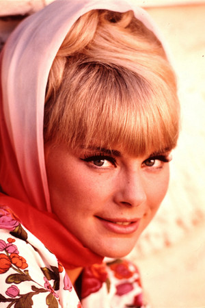 Elke Sommer photo