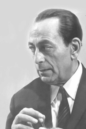 Mahmoud El Meligy photo