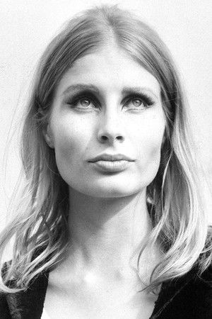 Donna Michelle photo