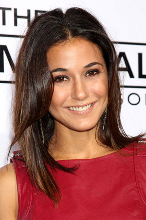Emmanuelle Chriqui photo
