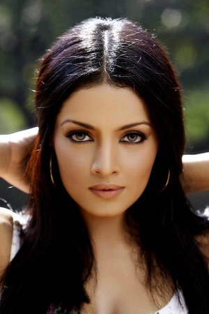 Celina Jaitly photo