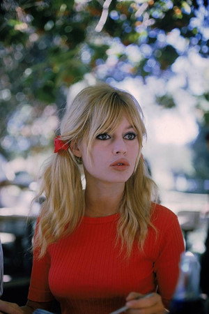 Brigitte Bardot photo