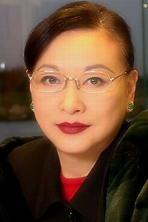 Hsu Feng photo