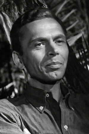 Gérard Herter photo