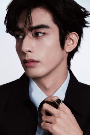 Song Weilong photo