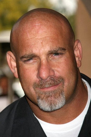 Bill Goldberg photo