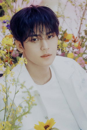 Mingyu photo