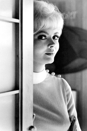 Jeannine Riley photo