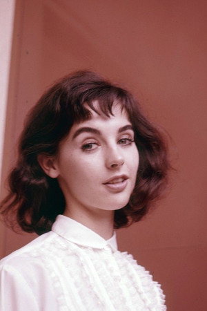Millie Perkins photo