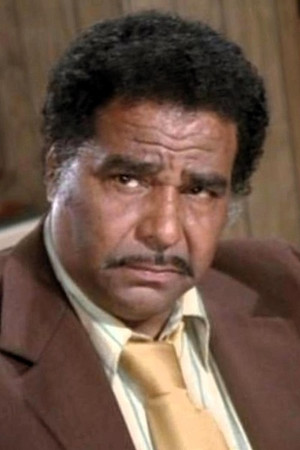 Bernie Hamilton photo