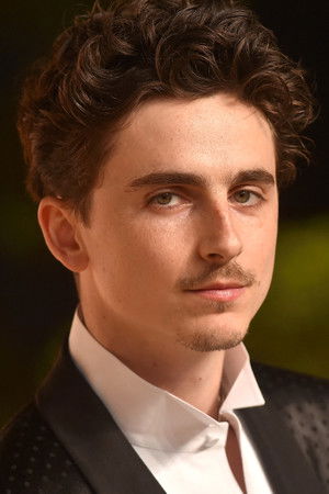 Timothée Chalamet photo