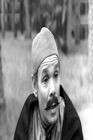 Mohamed Shawqi photo