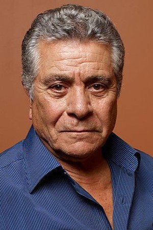 Behrouz Vossoughi photo