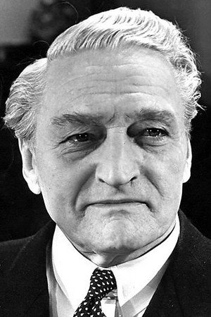 Johannes Meyer photo