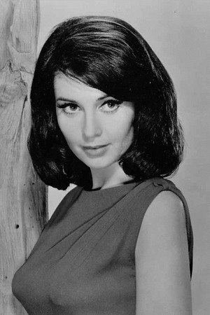 Anjanette Comer photo