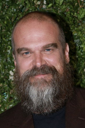 David Harbour photo