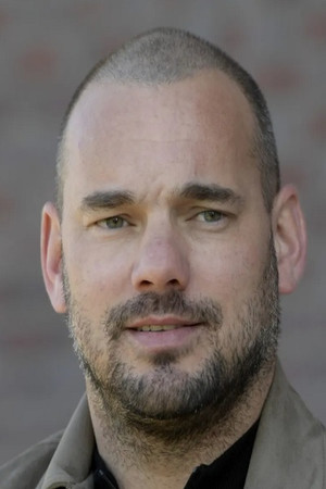 Wesley Sneijder photo