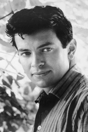 Mark Damon photo