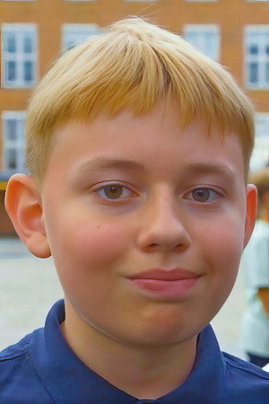 Arthur Ditlev Wadstrøm photo