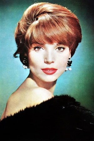 Photo of Elsa Martinelli from the Latest Netflix gallery