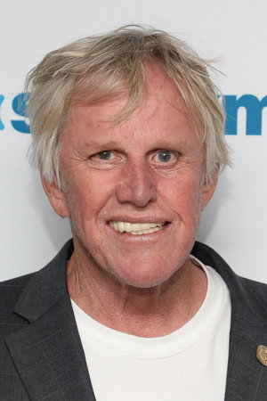 Gary Busey photo