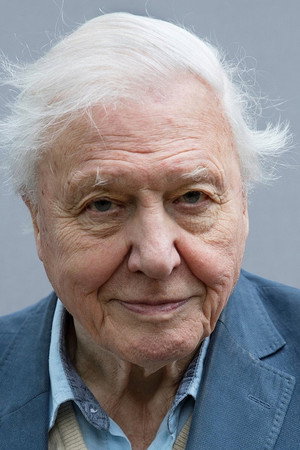 Photo of David Attenborough from the Latest Netflix gallery