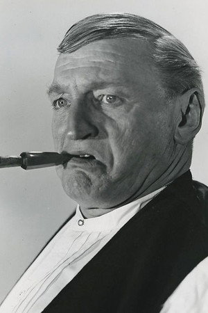 Johannes Meyer photo