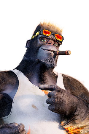 Photo of Moussa-K from the Latest Netflix gallery