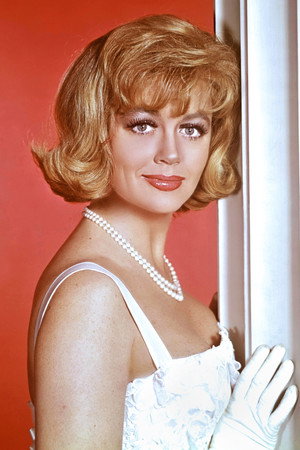Dorothy Malone photo