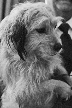 Photo of Benjean from the Latest Netflix gallery