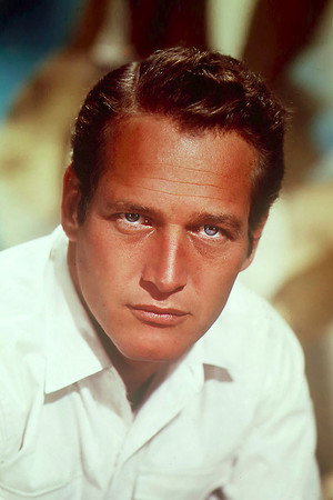 Paul Newman photo