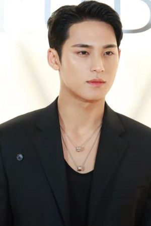Mingyu photo