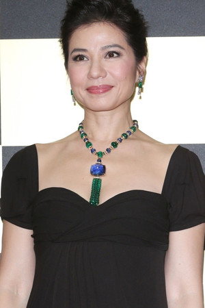 Cherie Chung Cho-Hung photo