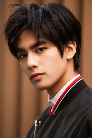 Song Weilong photo
